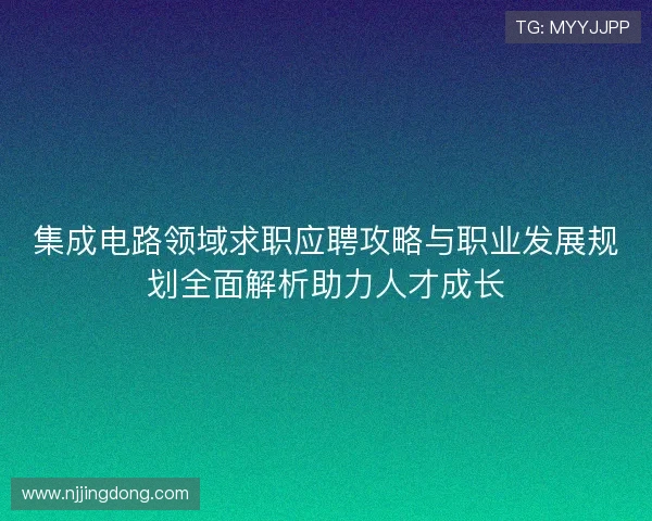 集成电路领域求职应聘攻略与职业发展规划全面解析助力人才成长